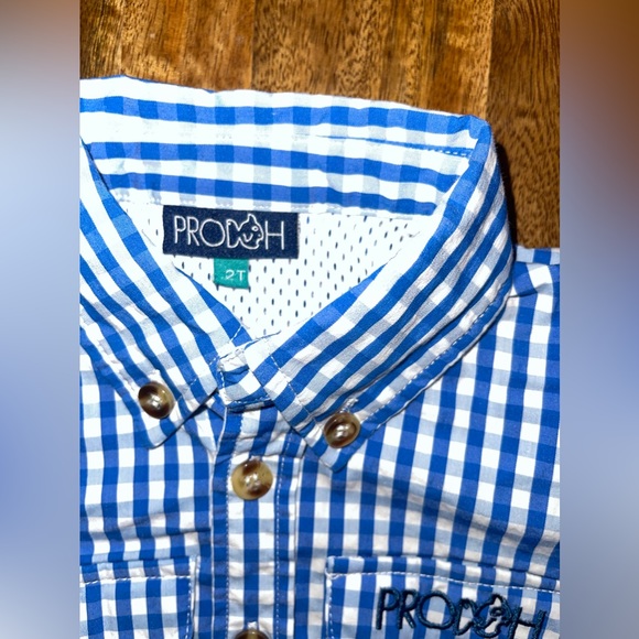 Classic Blue and White Gingham Button Down Shirt - Picture 2 of 5